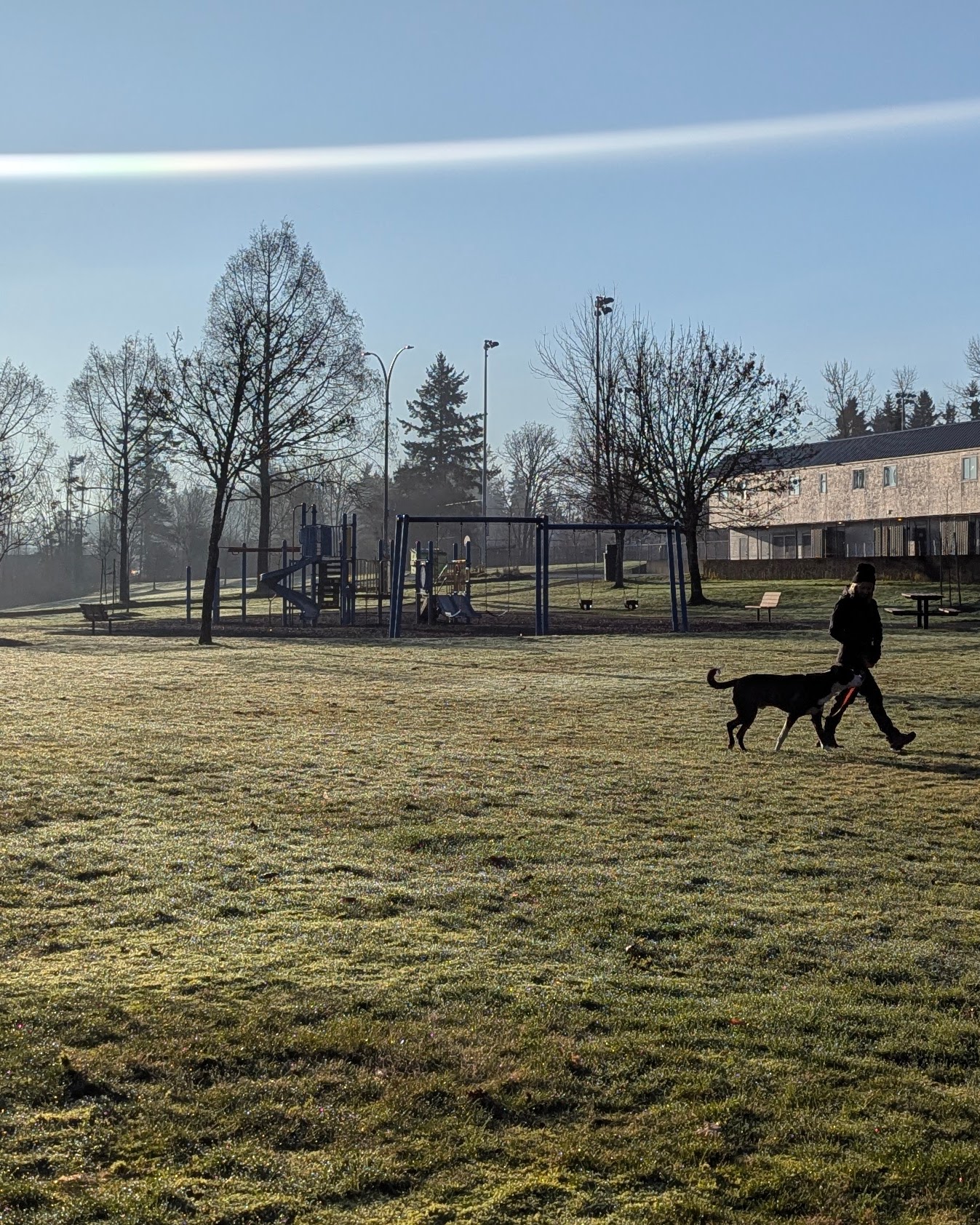 Woman walking through grassy area with her dog at her side, there is a playground in the background