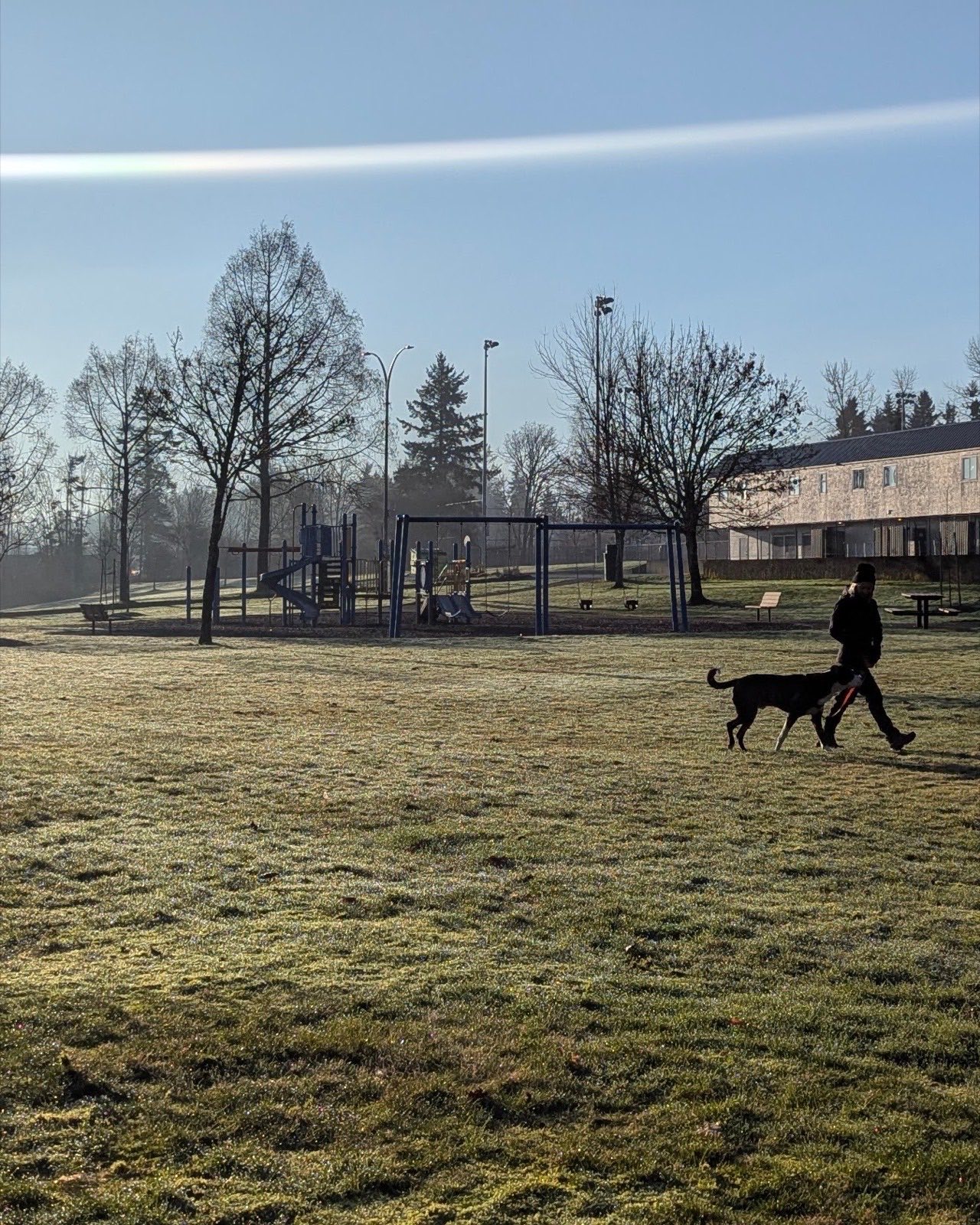 Woman walking through grassy area with her dog at her side, there is a playground in the background